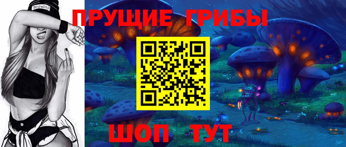 купить закладку  Галлюциногенные грибы MAGIC MUSHROOMS  Вход с VPN  Кострома 